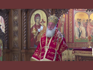[English/Serbian] Bishop Longin: Nativity Message